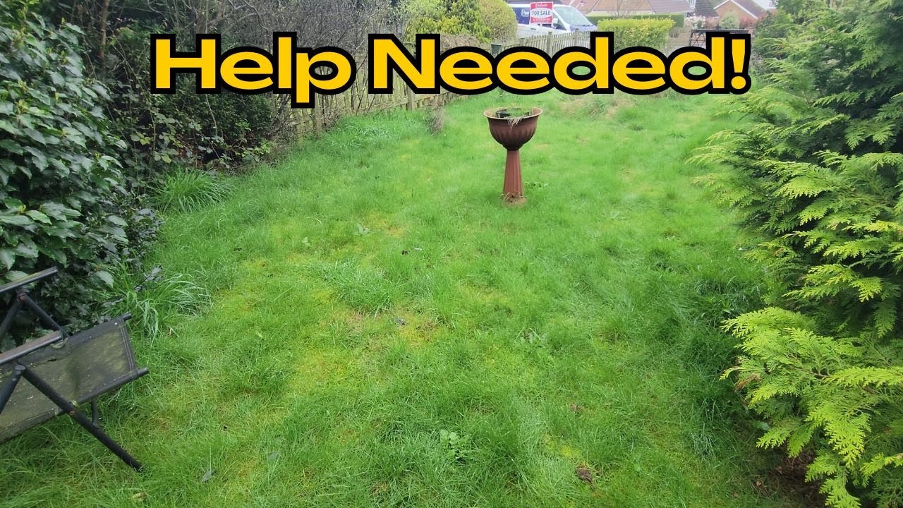 Injured Elderly Man Needs Garden HELP! Amazing FREE nature garden tidy and transformation.