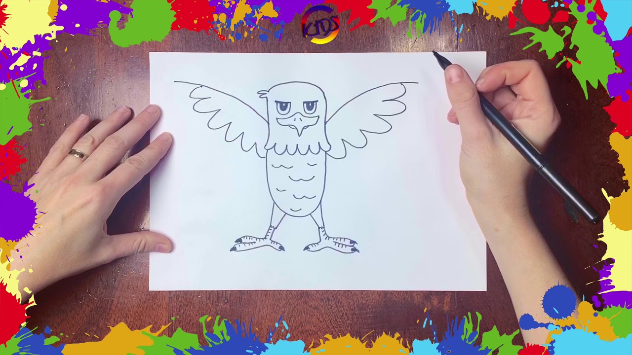 6- Dibuja un aguila | Dibujo para niños