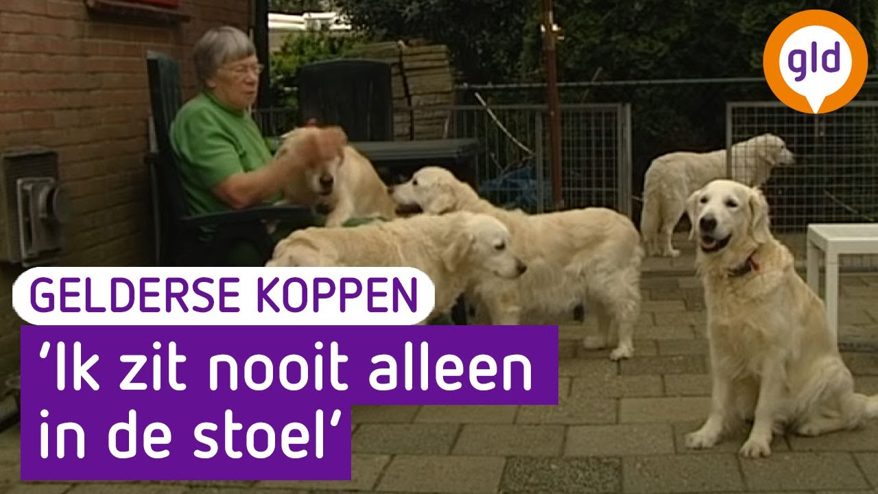 Een huis vol honden - Gelderse Koppen 26 mei 2012 - Heerde