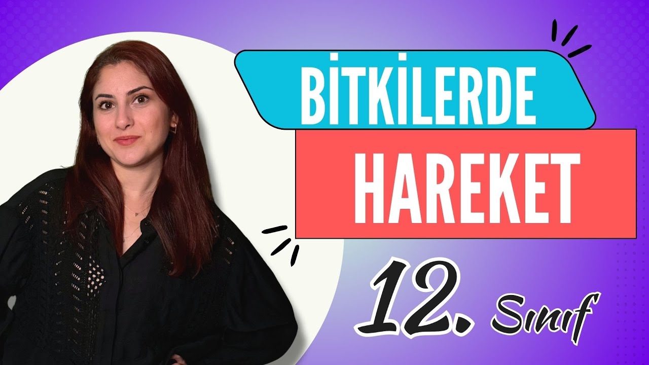 20) BİTKİLERDE HAREKET | 12. SINIF | DETAYLI KONU ANLATIMI | AYT 2024