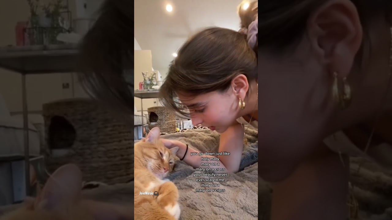 Mary on a cross | Andrea Bejar (cover) with her cat ❤️ #lyrics #shorts #trending #music #cover