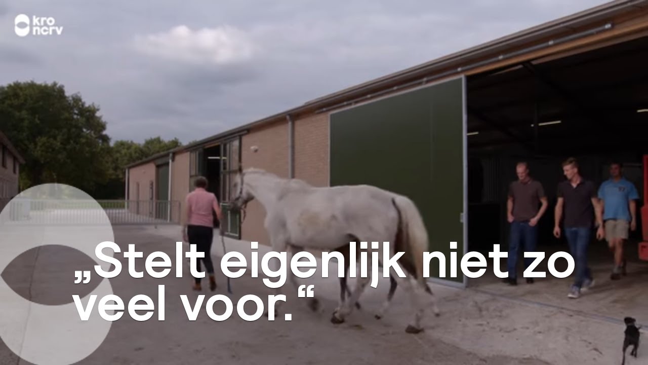 De mannen maken kennis met de paarden van Steffi | Boer zoekt Vrouw
