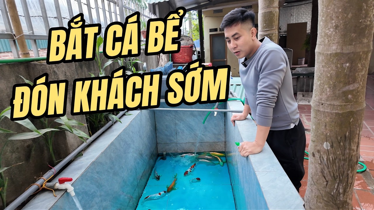 BẮT CÁ BỂ ĐÓN KHÁCH SỚM CÁC BÁC ƠI