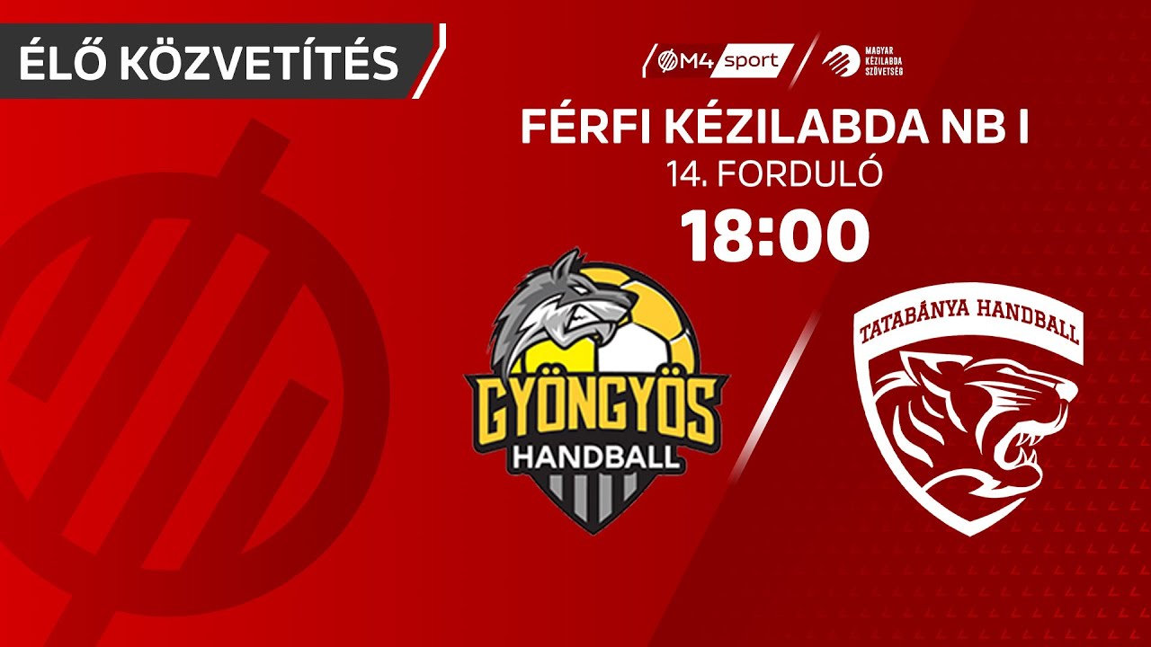 HE-DO B Braun Gyöngyös – MOL Tatabánya KC | férfi K&H Liga | 14. forduló