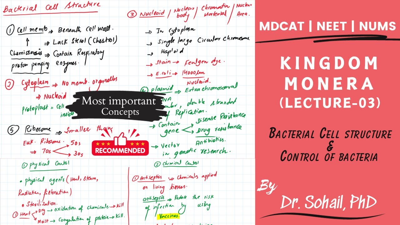 Kingdom Monera | Lecture-03 | Bacterial Cell Structure & Control of bacteria | MDCAT | NUMS | NEET