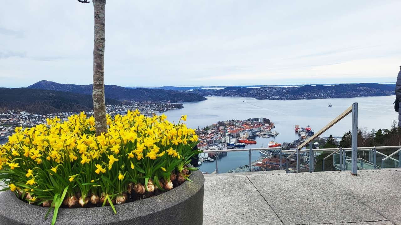 Mount Fl&oslash;ien in Bergen Norway - Goats and a Troll
