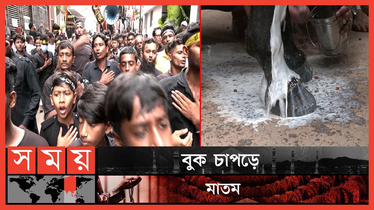 দুধ দিয়ে পা ধোয়ানো হলো দুলদুলের | Tajia Michil | Tomb of Imam Hussain | Hussaini Dalan |Duldul Horse