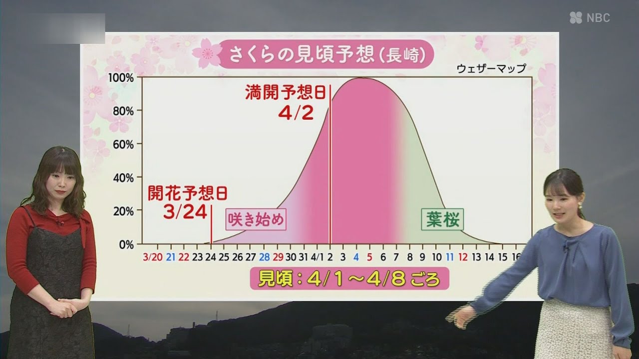 【長崎】あす21日（土）は20度予想も　さくらの見頃は？