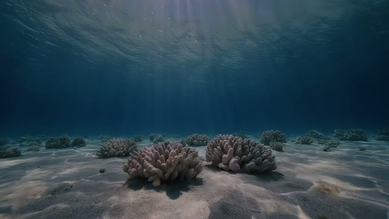 Starlit Echoes | Ocean Cinematic Ambient Music