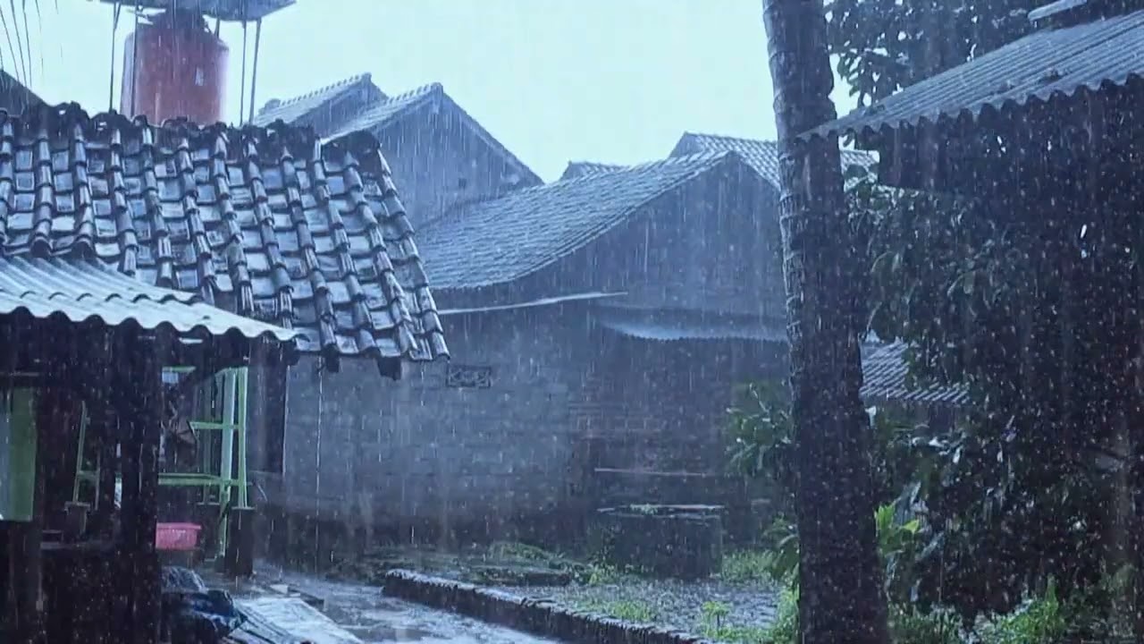 Soft Rain Sounds for Deep Sleep (3 Hours)