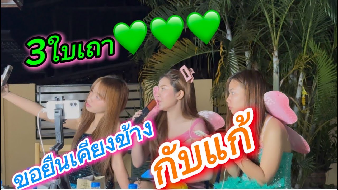 3 ใบเถา💚💚💚 / ขอยืนเคียงข้าง / กับแก้