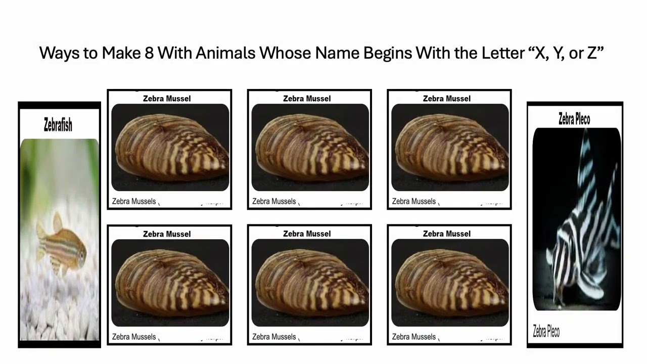 Fun With Numbers by Adding Ways to Make 8 With Animals With Letter "X, Y, or Z" Name #1