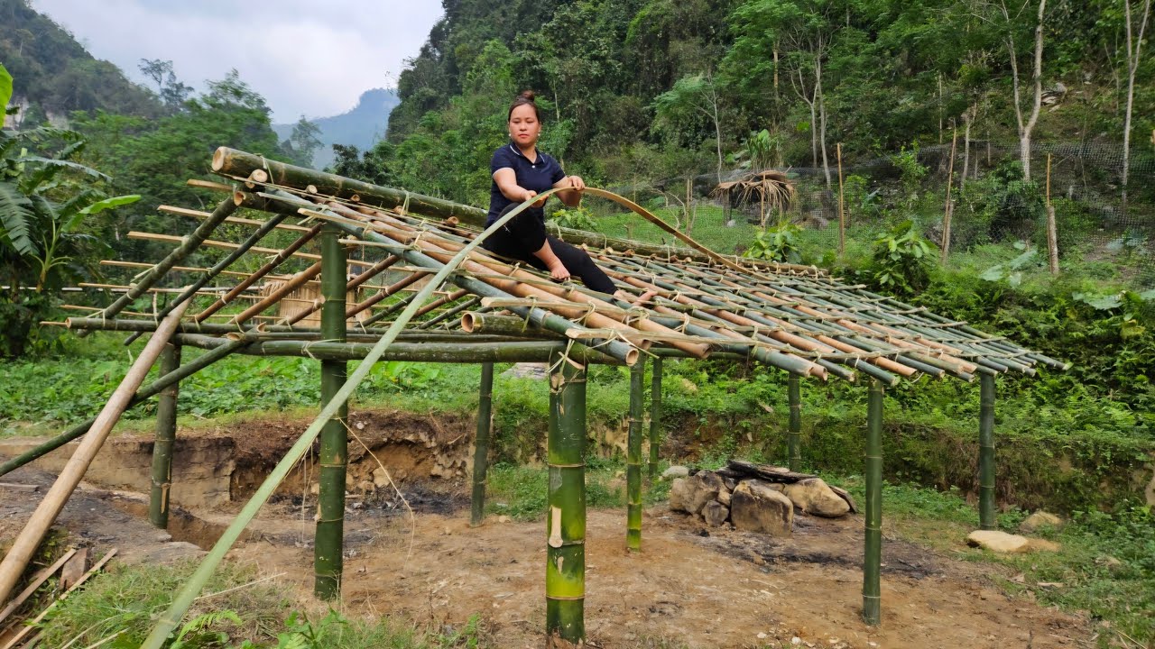Build Bamboo House New For Bird - Daily life, Life with nature, Life Farm. Lý Thị Ca