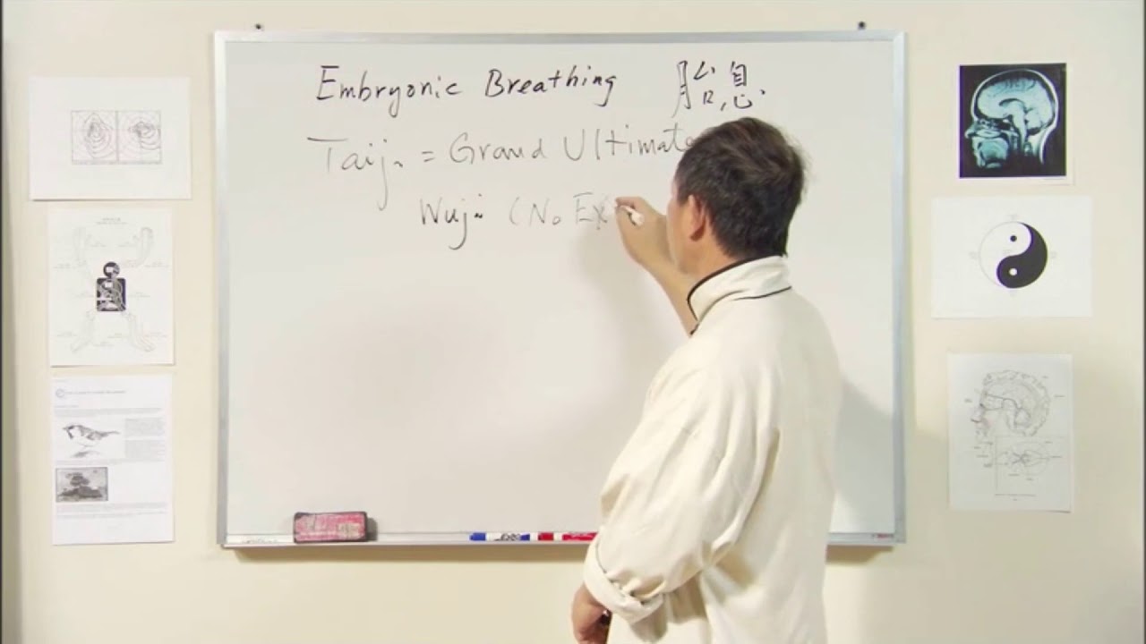 EMBRYONIC BREATHING CLIP - DR. YANG, JWING-MING