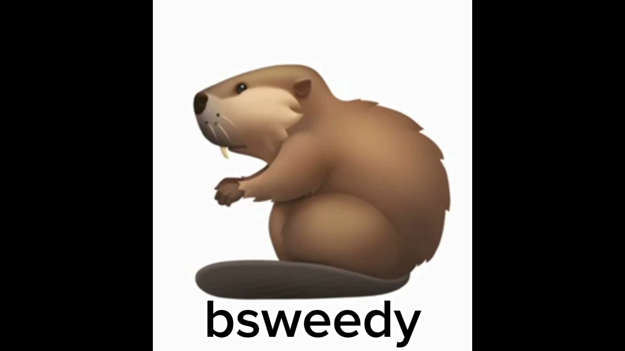bsweedy - едим говно с братаном (оч душевная песня)