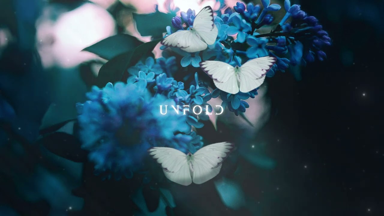 XILEF - Unfold