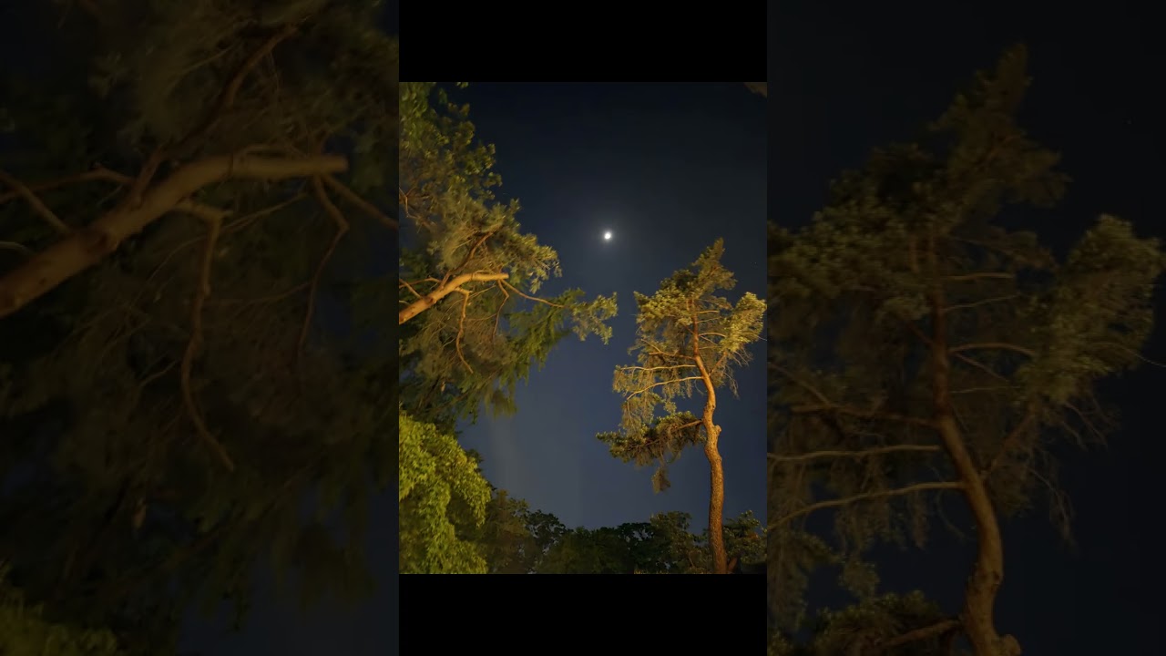 여주인공(River shines beneath the Moon)