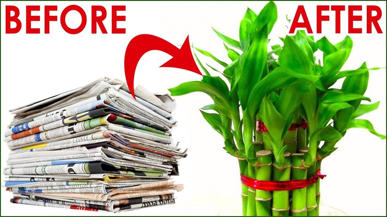 How to Make Bamboo Plant with Papers | Bamboo Plant Making | #PaperCrafts | #Bambooplant