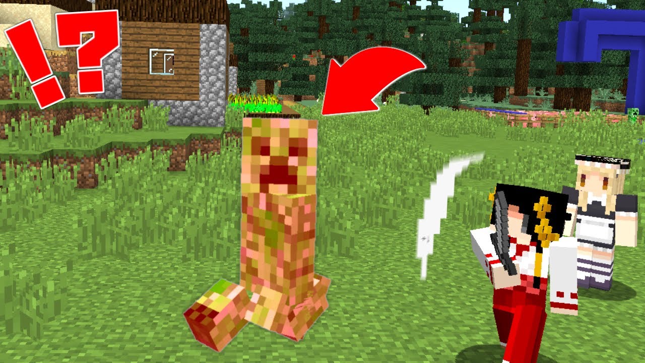 【マイクラ】クリーパーの一生を体験できるマップ！？【ゆっくり実況】【配布マップ】