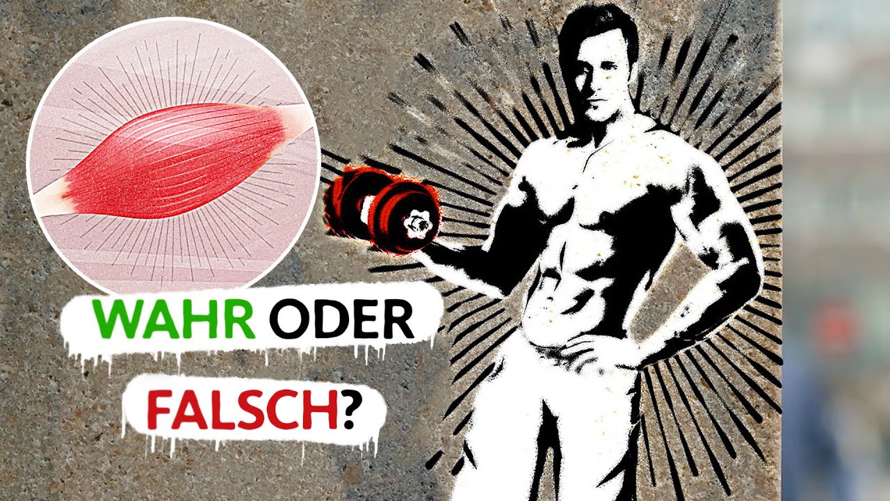 5 Mythen über Muskeln, die du kennen solltest! | Quarks Mythen-Box
