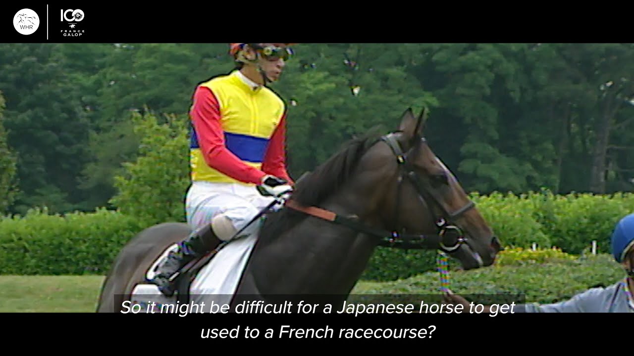 THE ARC | MASAYOSHI EBINA ON EL CONDOR PASA AND FINISHING SECOND TO MONTJEU