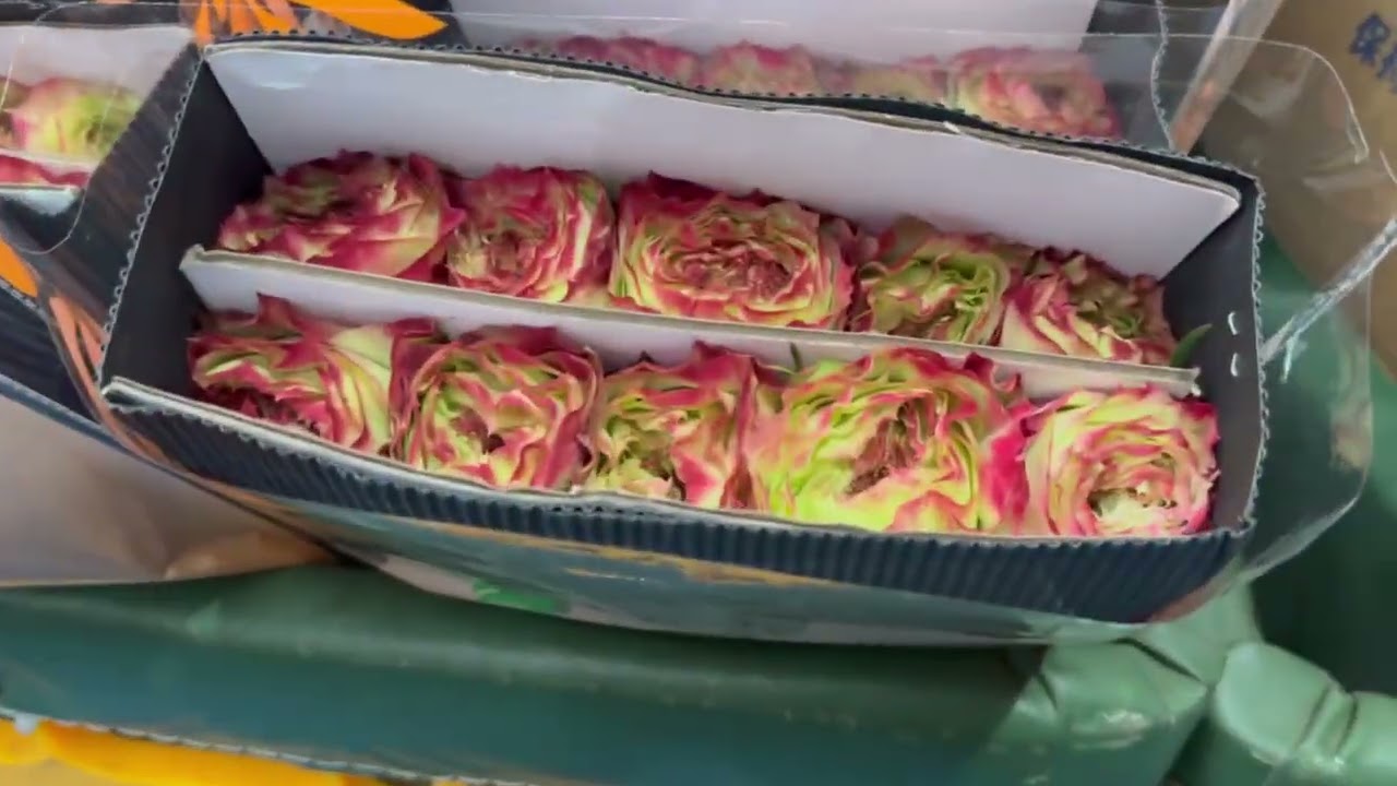Walking Through the Dou Nan Flower Market | Inside the Largest Flower Market in China