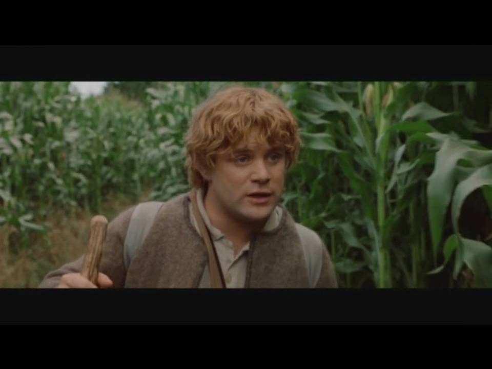 Du doof - Herr der Ringe
