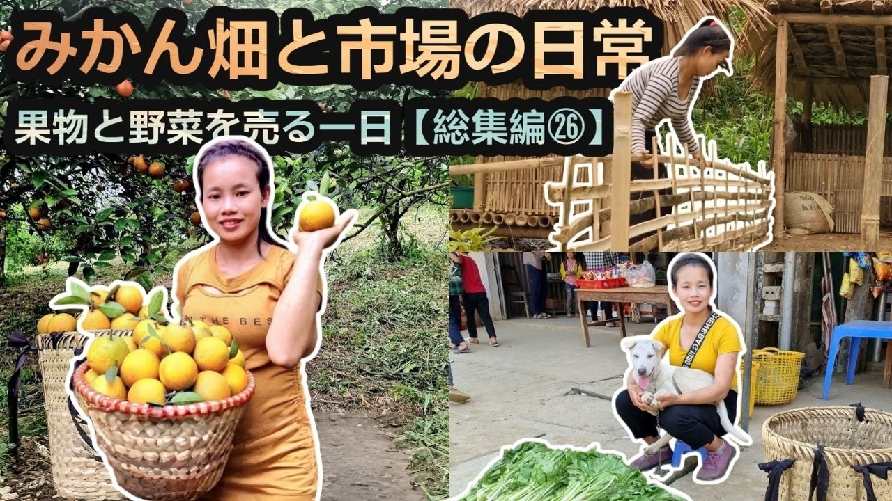 実りのみかんと青菜の朝｜田舎暮らし総集編㉖