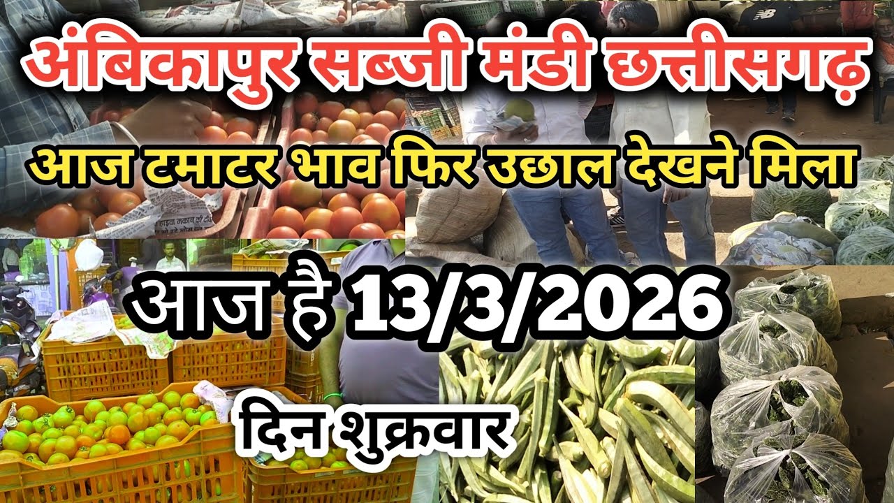 अंबिकापुर सब्जी मंडी || आज का टमाटर भाव || /13/3/2026 || Ambikapur sabji mandi #ambikapur #surajpur 
