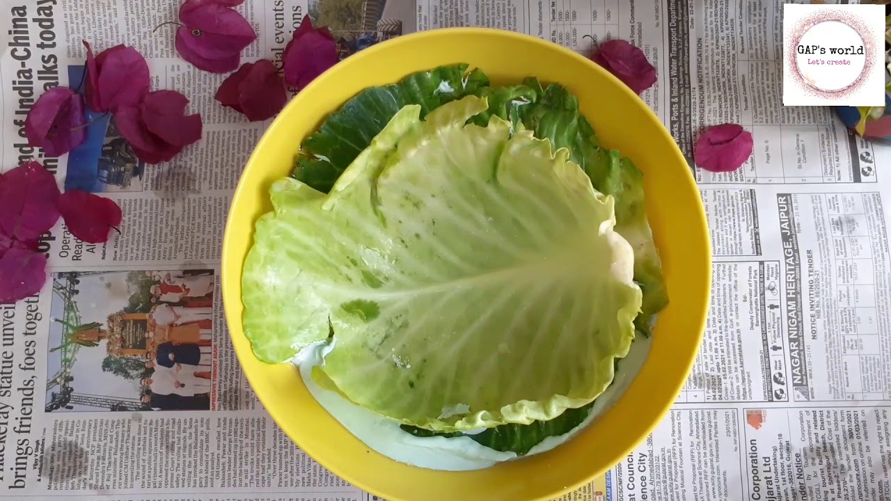 DIY CABBAGE LEAF SHAPED CEMENT BOWL/CENTERPIECE/WHITE CEMENT IDEAS