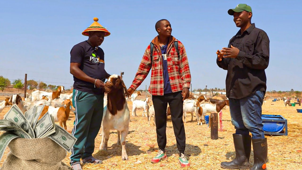 This is How they're Making MILLIONS with Farming