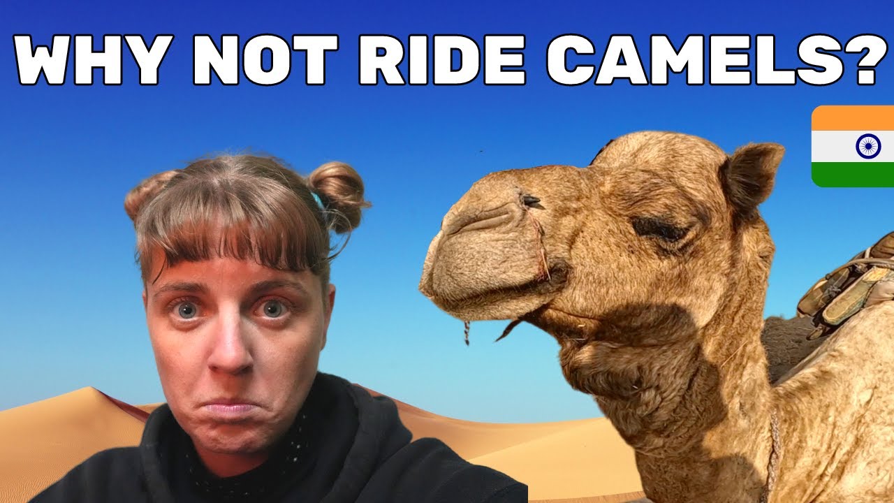 FREE THE CAMELS - Thar Desert Safari Camel riding - foreigners in India