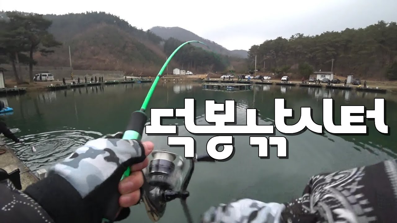 안성 덕봉낚시터 #송어낚시 잘나오는 포인트 공유!