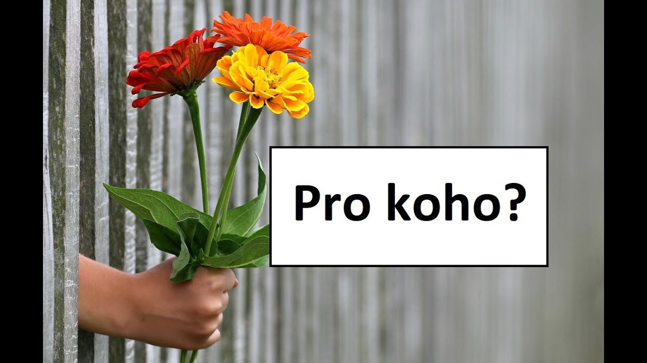Learn Czech : Pro Koho? ( používáme akuzativ )
