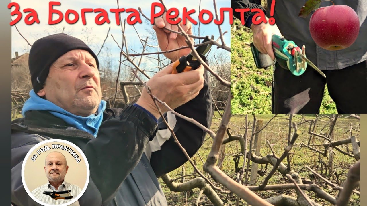 18 мин. Подробна Резитба на Ябълка.