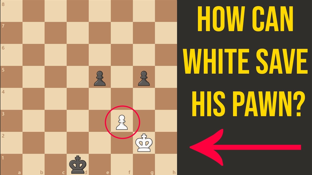 This Endgame Puzzle Has Only One Drawing Move – Can You Find It?