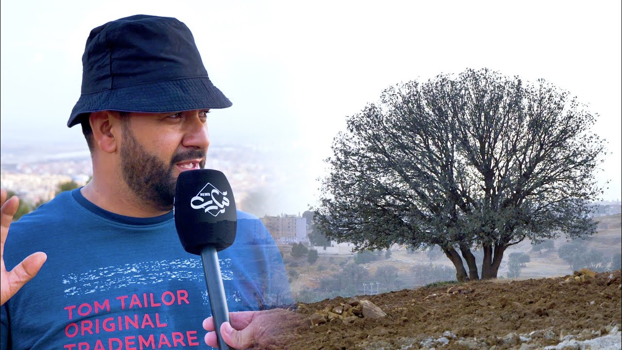 مغترب يخوض غمار الاستثمار الغابي بتيارت يتمنى مرافقة السلطات له