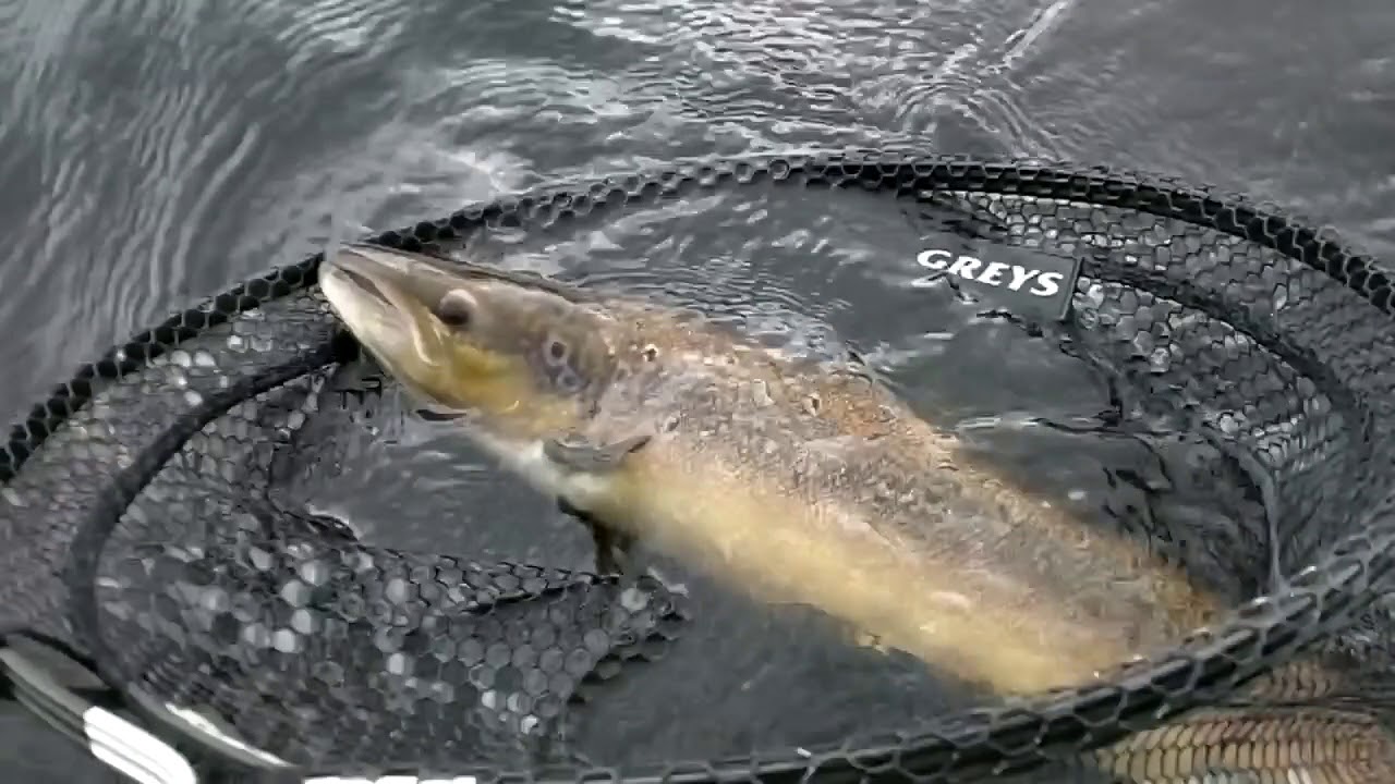 Fly fishing Killarney 