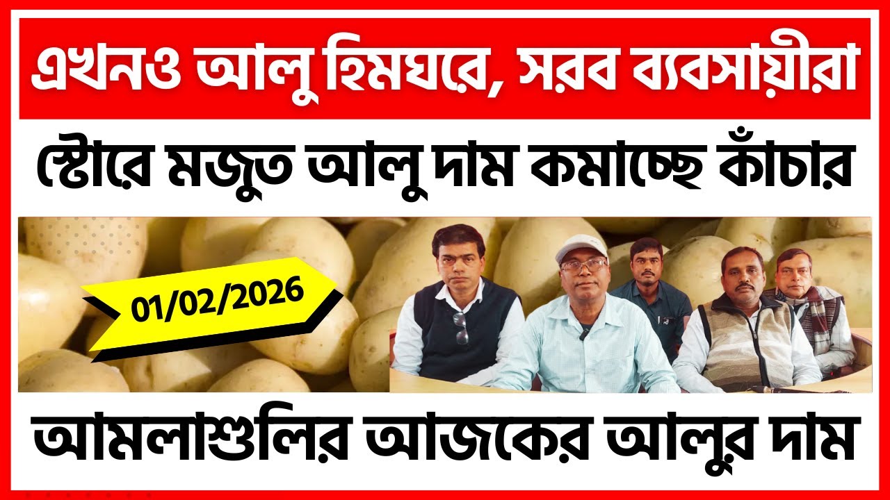 01/02/2026 : মেদিনীপুরের আমলাশুলির আজকের আলুর দাম | দক্ষিণ বাঁকুড়ার আলুর খবর - India Potato News
