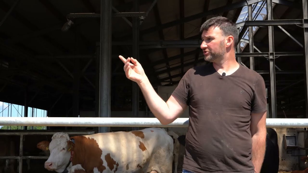 Futtergemeinschaft für 1.450 GV mit HIRL SF Futtermischwagen | früher: FARESIN Selbstfahrer #6