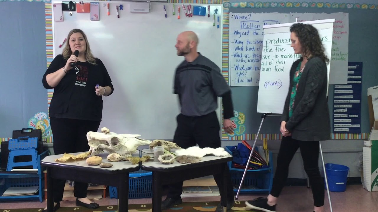 5th Grade Science - Lesson 4
