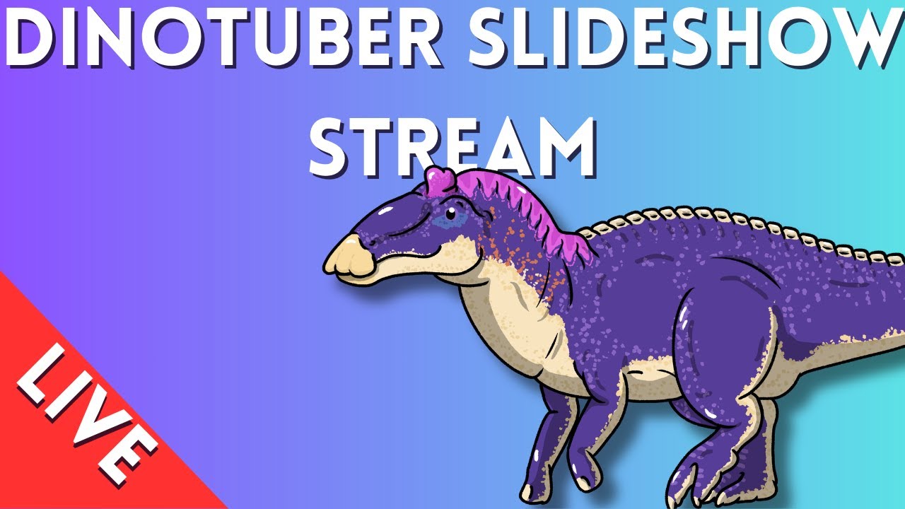 Dinotuber Slideshow Event |Live
