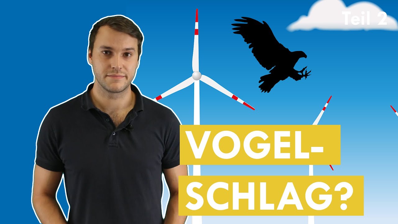 Vogelkiller Windkraftanlage? - Klimawissen - kurz&b&uuml;ndig