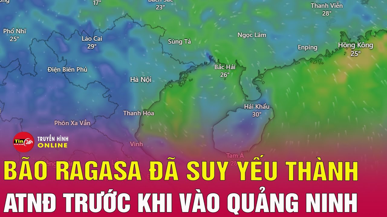 Thời sự chiều 25/9:Nguy&ecirc;n nh&acirc;n si&ecirc;u b&atilde;o Ragasa suy yếu nhanh trước khi đổ bộ v&agrave;o Quảng Ninh | Tin24h