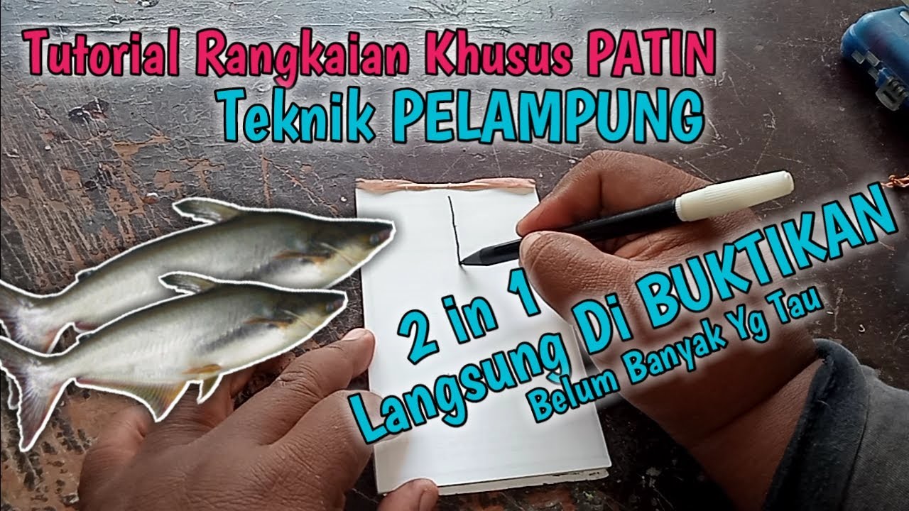 Cara membuat rangkaian khusus patin‼️anti boncos #umpanpatinjitu #umpanessenbuatpatin