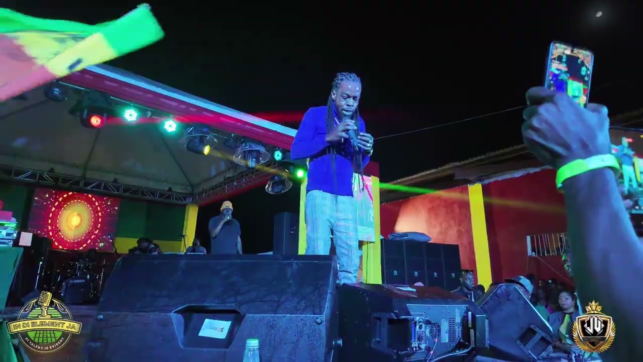 IN DI ELEMENTJa EVENTS Highlights of REGGAE FUSION