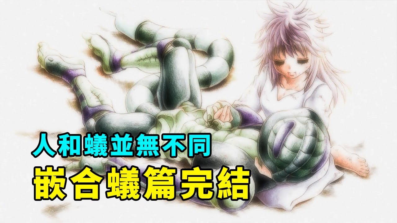 獵人解說25:嵌合蟻篇大結局，人和蟻並無不同