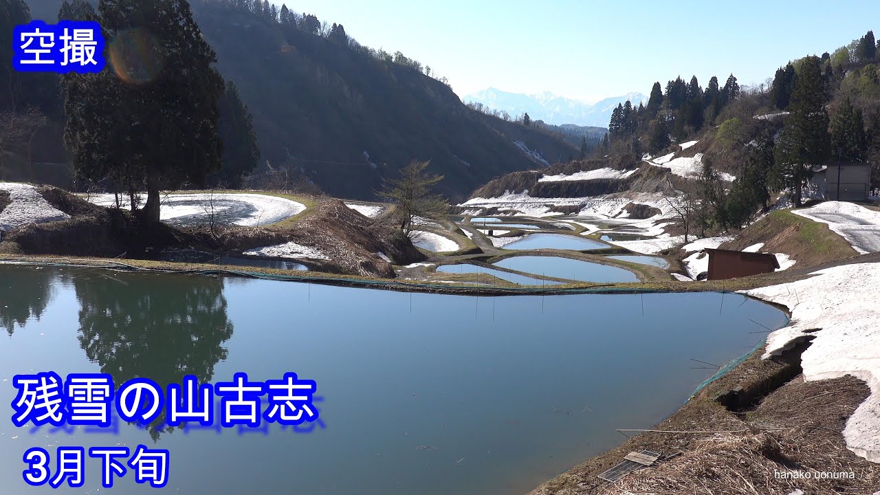 残雪の山古志（新潟県長岡市） 錦鯉養殖池の棚田 Terraced rice paddies in Nishikigoi aquaculture ponds