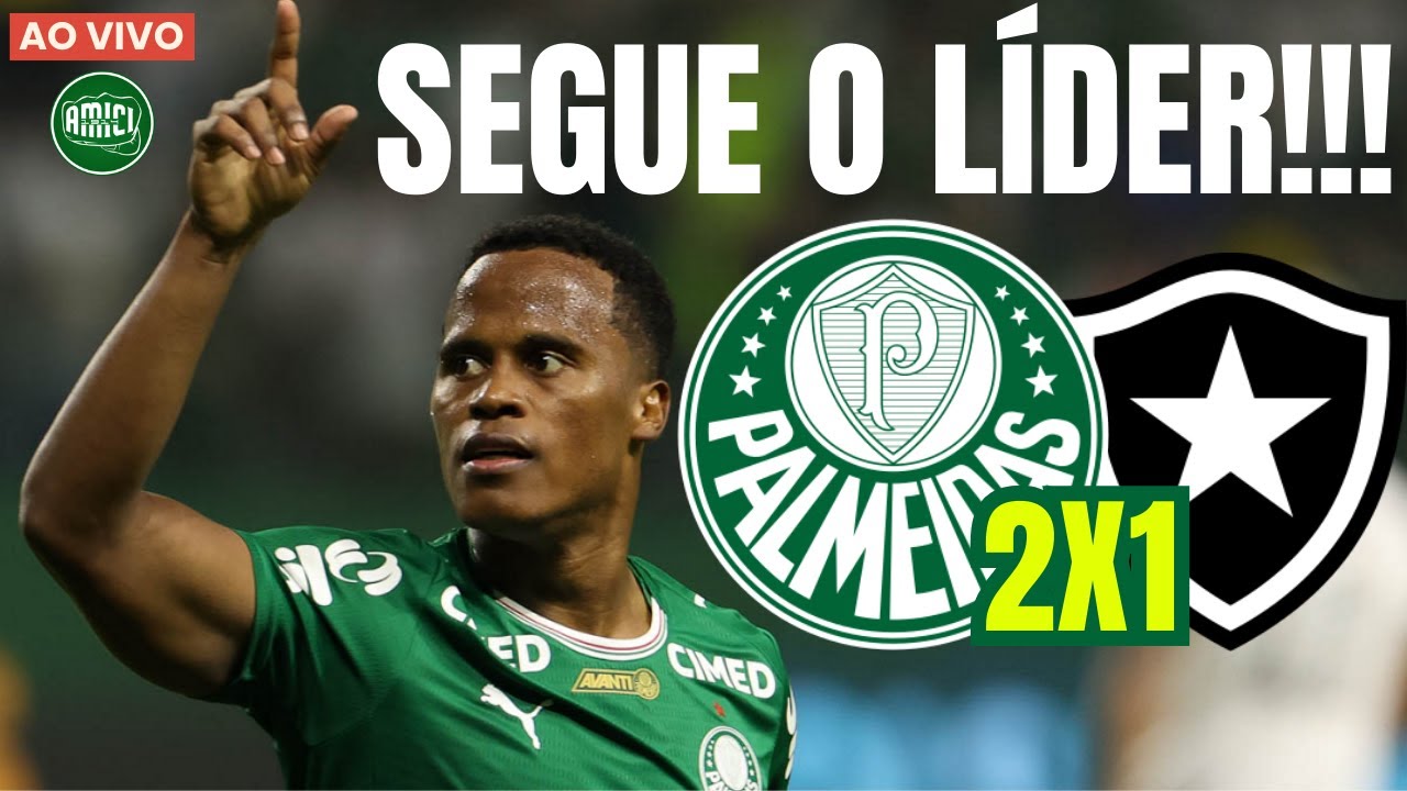 PALMEIRAS VENCE O BOTAFOGO E ASSUME A LIDERANÇA DO BRASILEIRÃO