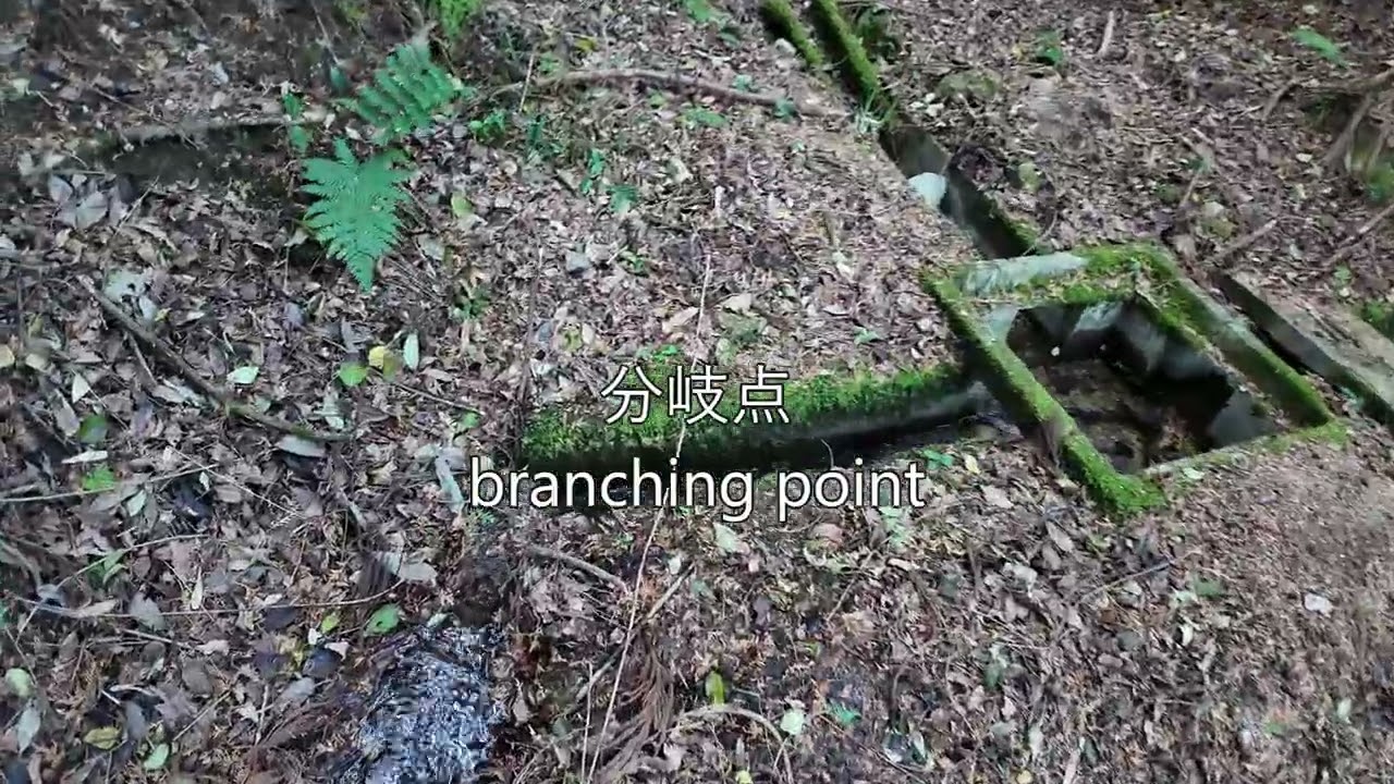 ON1分3Dちょこっと登山・・尾根田道その１分岐３復路